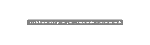 Te da la bienvenida al primer y único campamento de verano en Puebla